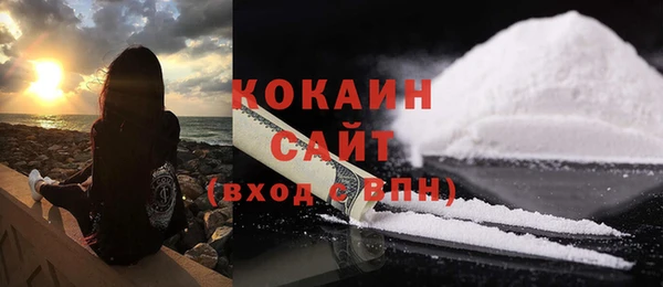 тгк Алзамай