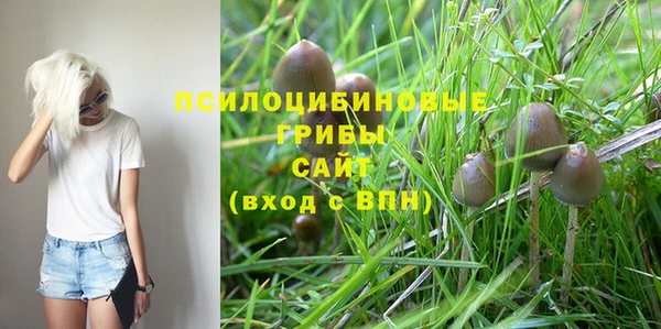 кокс Алексеевка
