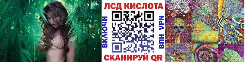 продажа наркотиков Ейск Марки 25I-NBOMe 1,8мг