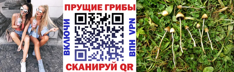 Галлюциногенные грибы мицелий  Ейск 