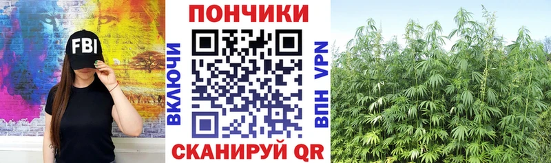 Бошки марихуана ГИДРОПОН  где найти   Ейск 